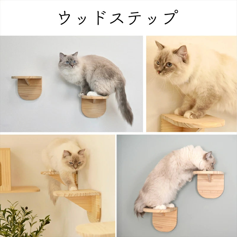 Latre　ラトレ　【ステップ】