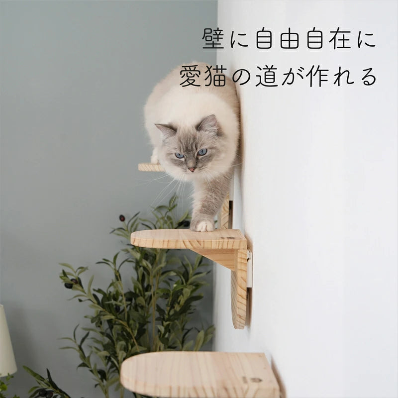 Latre　ラトレ　【ステップ】
