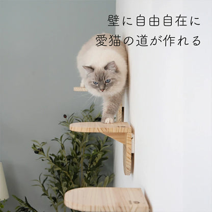 Latre　ラトレ　【ステップ】