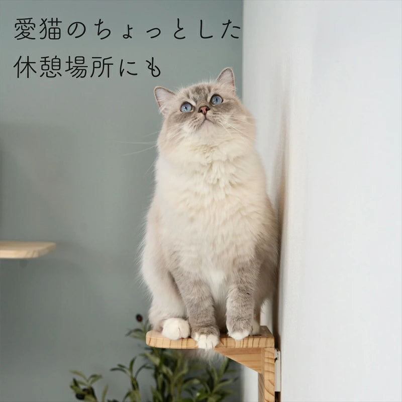 Latre　ラトレ　【ステップ】