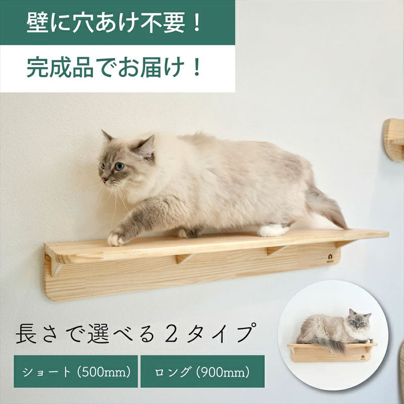 Mache　マーチェ　【キャットウォーク】