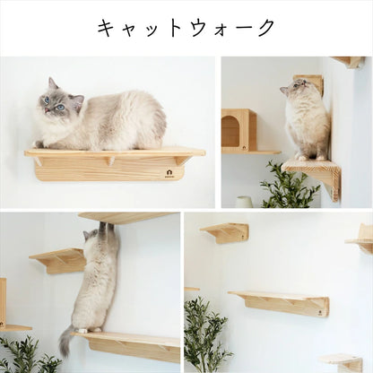 Mache　マーチェ　【キャットウォーク】