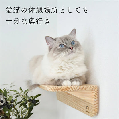 Mache　マーチェ　【キャットウォーク】