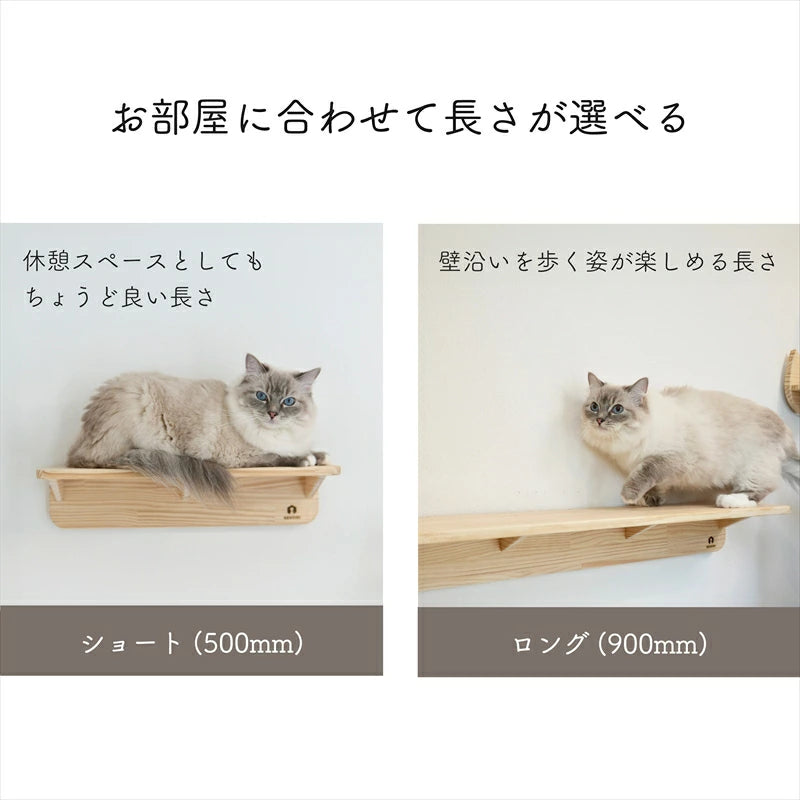 Mache　マーチェ　【キャットウォーク】
