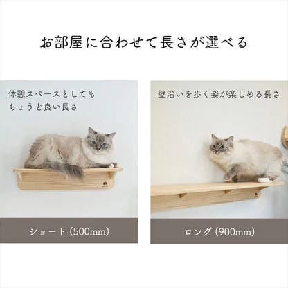 Mache　マーチェ　【キャットウォーク】