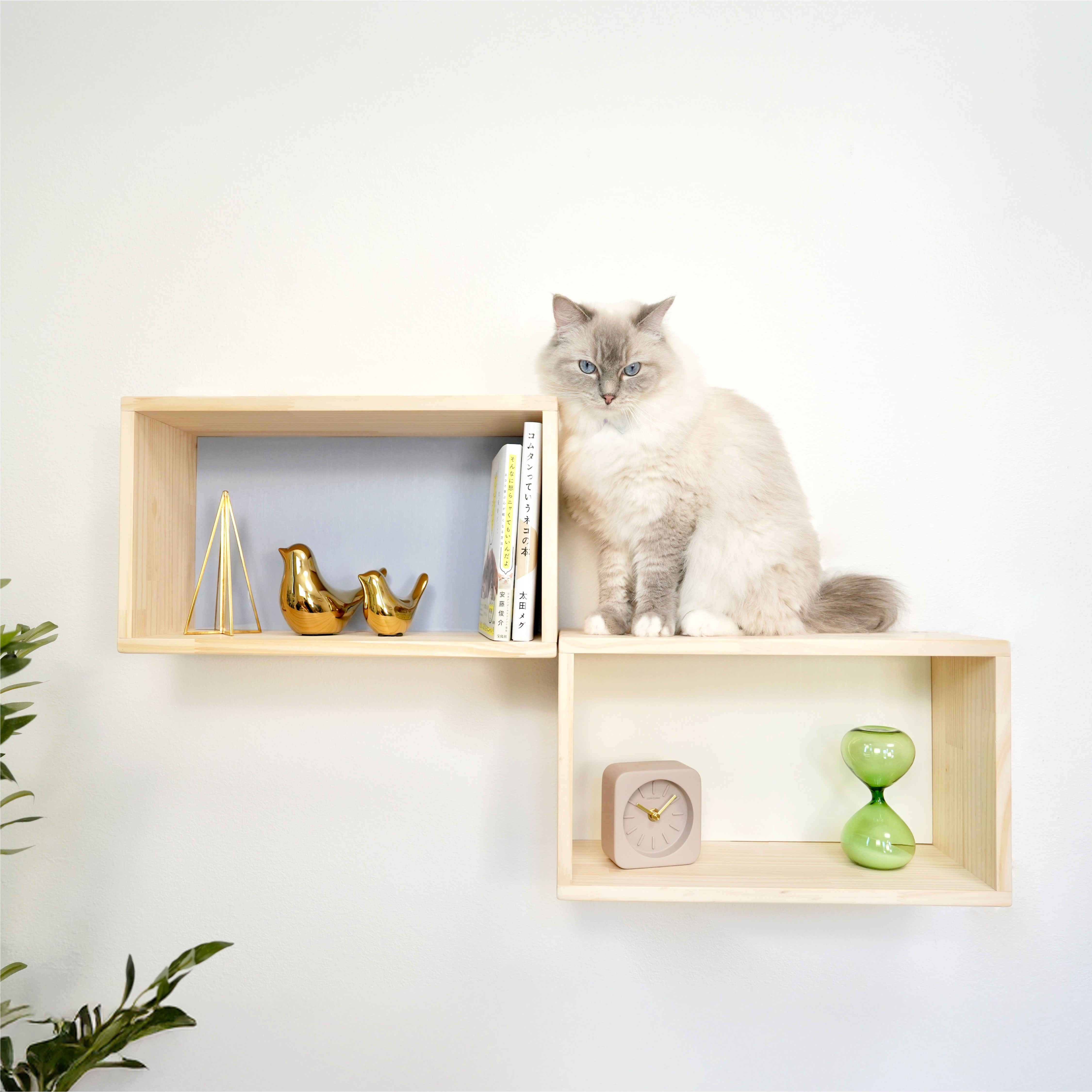 賃貸OK！ キャットステップ StepShelf(ステップシェルフ)｜穴あけ不要