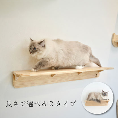 Mache　マーチェ　【キャットウォーク】
