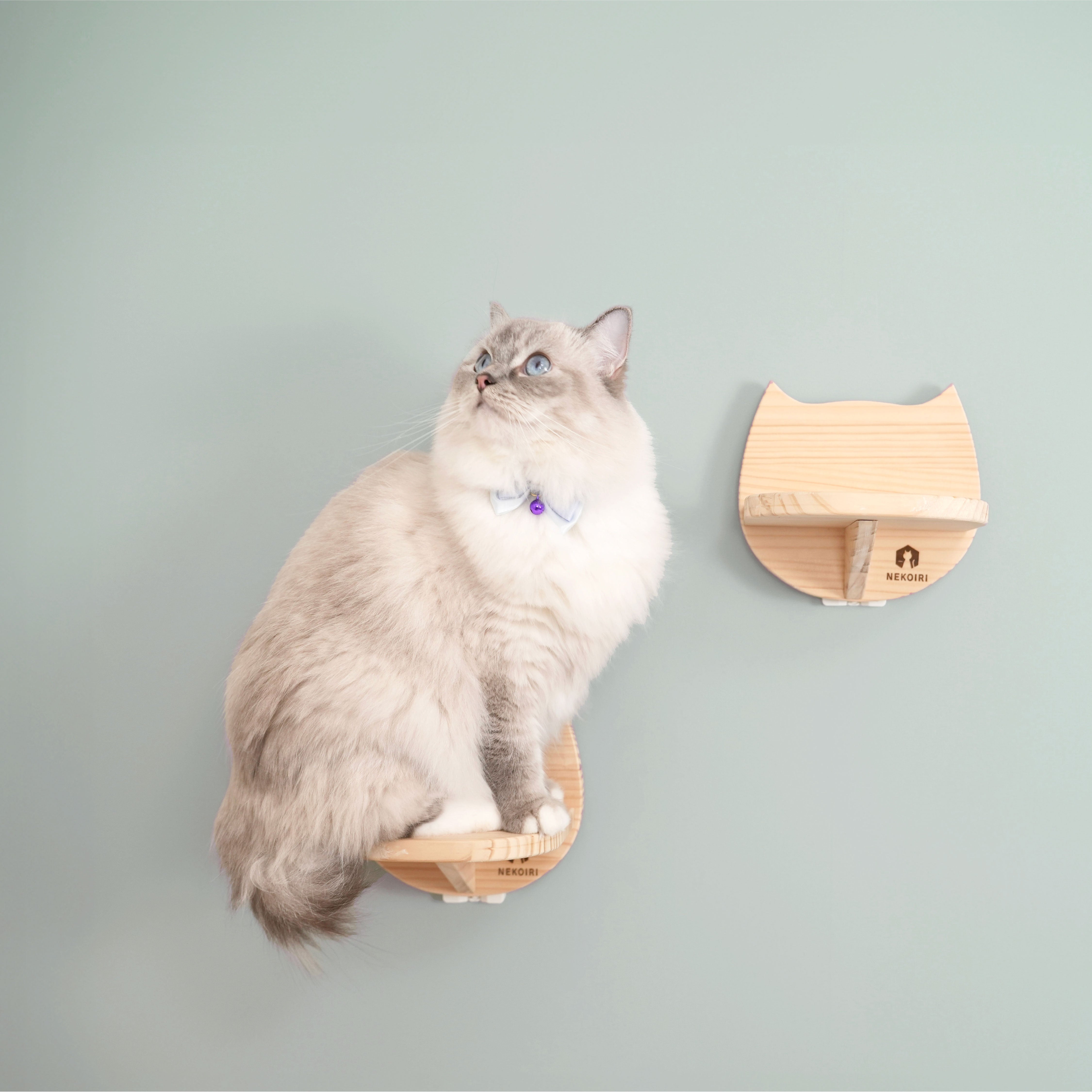賃貸OK！ 壁掛けキャットステップ Catre(カトレ)｜穴あけ不要の猫家具