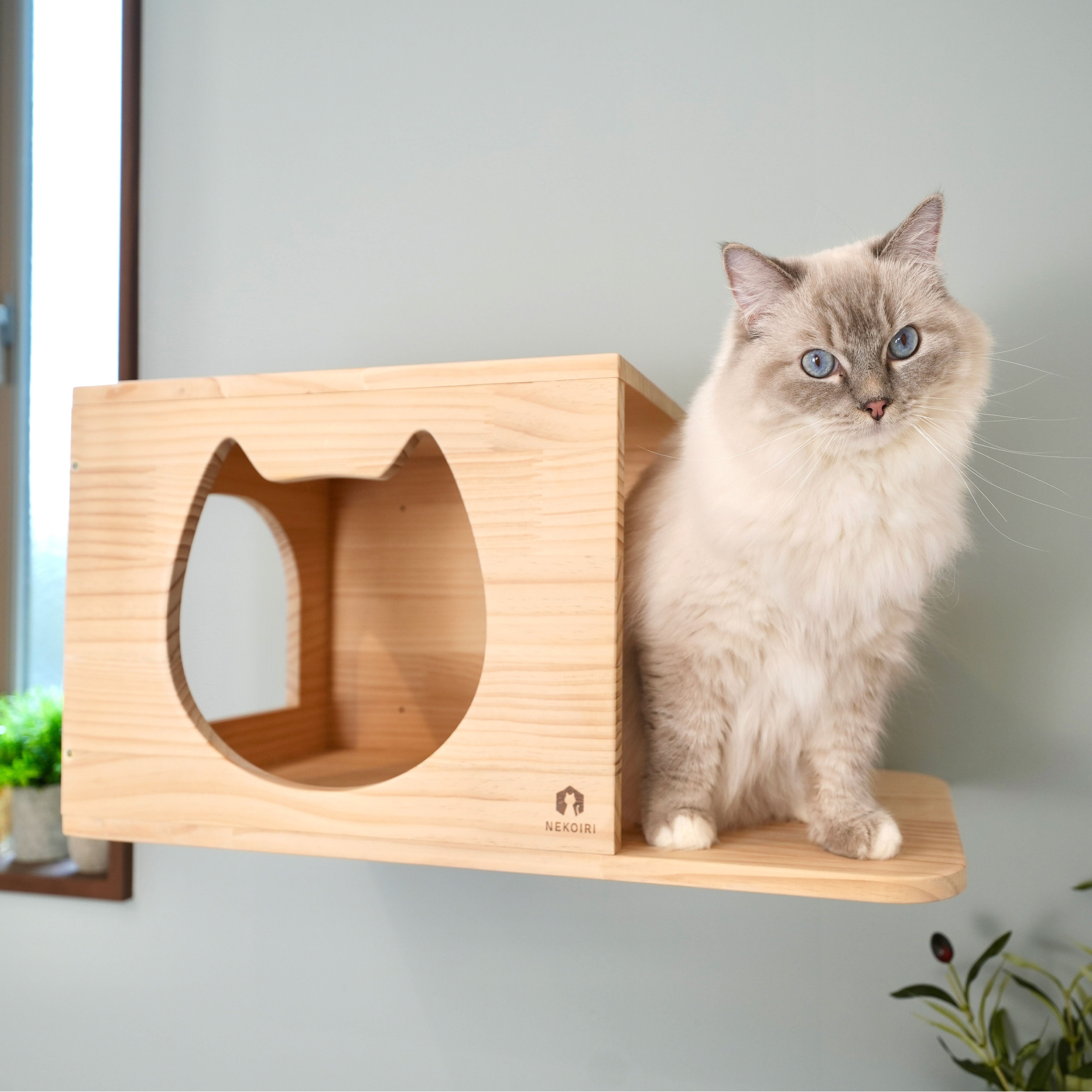 賃貸OK！ 壁掛けキャットハウス Cama(カーマ)｜穴あけ不要の猫家具