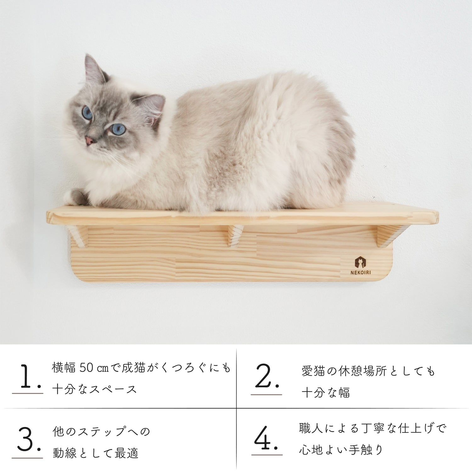 Mache Short　マーチェ ショート　【キャットウォーク　Sサイズ】