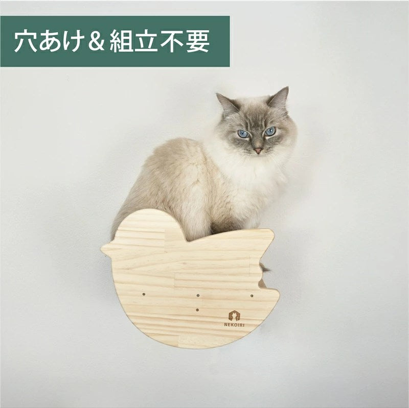 賃貸OK！壁掛けキャットウォーク・ステップ一覧｜穴あけ不要の猫家具
