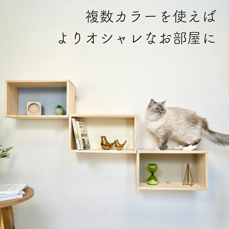 step shelf【ステップ シェルフ】